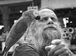 Man with Parrot, Market 4x.jpg